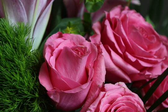 Close-up of blooming pink roses in bouquet