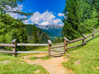 Lago di pian palù - autonome Provinz Trient - Smaragdgrüner See