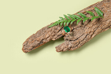 Tree bark with beautiful emerald ring and plant leaves on pale green background