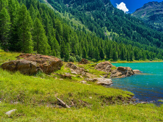 Lago di pian palù - autonome Provinz Trient - Smaragdgrüner See