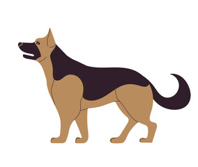 Hand drawn German Shepherd dog breed. Vector illustration isolated on white.
