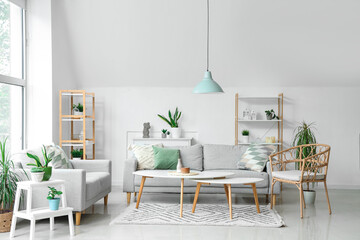 Interior of light living room with plants, sofas and coffee tables