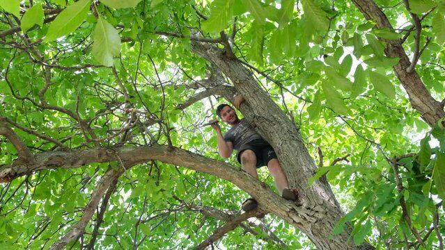 
July 27, 2023, Ukraine, Dnipro, park, a man endangers himself on a very high tree without insurance, cuts off old dry branches. Gardening on your own. Fall hazard.