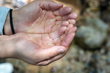 Fototapeta premium The hands of young woman are holding water from spring