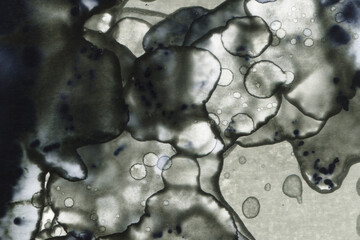 Abstract art with alcohol ink and watercolor. Modern Art. Interior picture