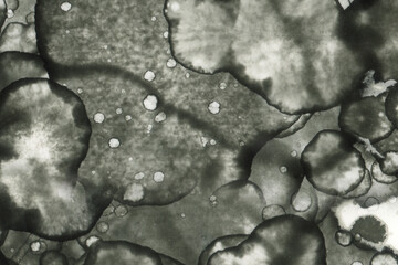 Abstract art with alcohol ink and watercolor. Modern Art. Interior picture