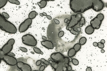 Abstract art with alcohol ink and watercolor. Modern Art. Interior picture