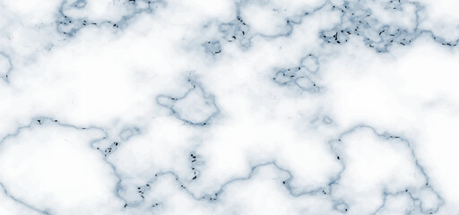 Abstract luxurious marble texture vector illustration. Luxury marble design for spring and summer themes vector. White marble texture natural pattern for wallpaper, and backdrop background.