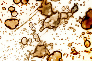 Abstract art with alcohol ink and watercolor. Modern Art. Interior picture