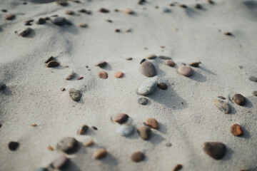 Seashells and Stones