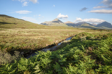 Fototapeta na wymiar nature sceneries of the isle of Skye, Scotland