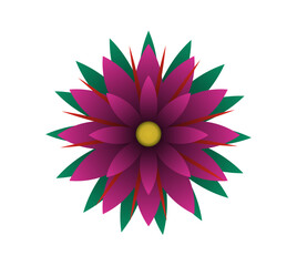 Blooming flowers of different colors, shapes- Each one is unique and beautiful 