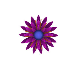 Blooming flowers of different colors, shapes- Each one is unique and beautiful 