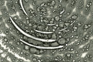 Abstract art with alcohol ink and watercolor. Modern Art. Interior picture