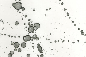 Abstract art with alcohol ink and watercolor. Modern Art. Interior picture