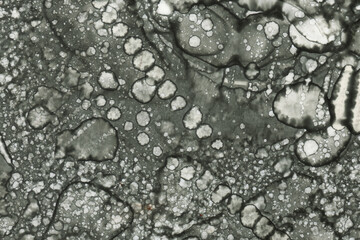 Abstract art with alcohol ink and watercolor. Modern Art. Interior picture