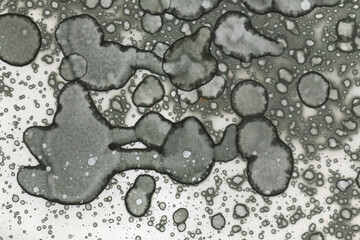 Abstract art with alcohol ink and watercolor. Modern Art. Interior picture