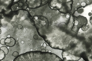 Abstract art with alcohol ink and watercolor. Modern Art. Interior picture