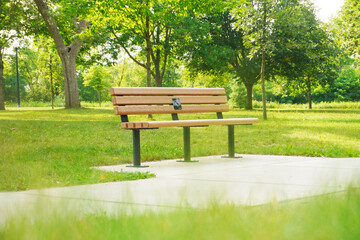 Wooden bench in the park, Warm evening in summer park, empty bench for rest.