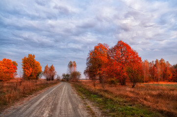 Obraz premium dirt road among autumn trees in the rays of the first morning sun.