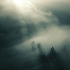 Fototapeta na wymiar Fog and light