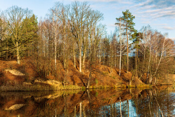 Fall season landscape on the lake shore, birches and pine trees. Evening light and colors..