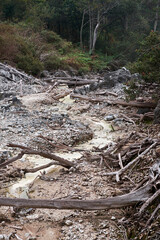 Scattered Stones, Lifeless Trees the Crater