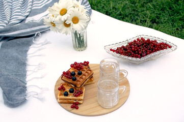 Romantic, summer picnic in park on the grass. Champagne and two glasses on white plaid. Concept of food and drink.
