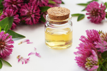 Red clover oil or extract in glass bottle on white background with flowers, closeup, remedy for menopause, source of estrogen, used in cosmetics, spa, face and hair beauty