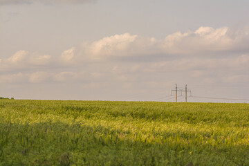 a large green field with electric poles against a background of a light sky with white clouds