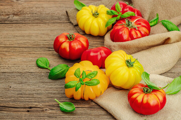 Colorful Heirloom tomato harvest. Ripe ribbed vegetables with fresh basil leaves. Wooden background