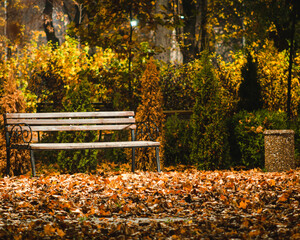 a cozy wooden bench in the park next to a stone trash can, illuminated by lanterns, next to which lie fallen orange leaves, against the backdrop of bright yellow bushes and trees