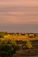 Obraz premium fields and hills on which trees, bushes and tall grass grow, against the backdrop of an orange sky with clouds, during the golden hour