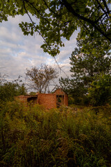 Fototapeta premium a dilapidated house without a roof, made of red brick, hidden behind lush green bushes and trees, against the backdrop of a blue sky with bright white clouds