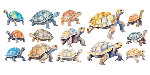 Watercolor Tortoise clipart for graphic resources - obrazy, fototapety, plakaty