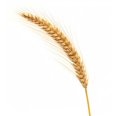 wheat ears isolated on white background generative in ai