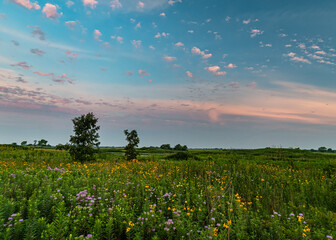 697-45 Prairie Morning Sky