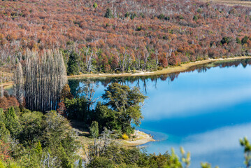 Upper view of the shore of Lake Los Moscos, in the Nahuel Huapi National Park, in autumn.