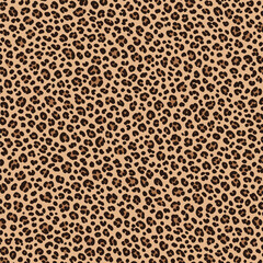 Leopard seamless pattern. Animal print. Vector background