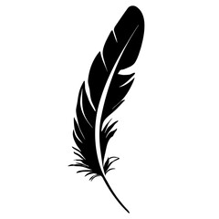 Bird Feather silhouette. Vector illustration