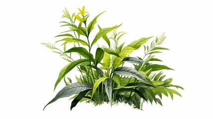 Fototapeta premium A painting of plant isolated on white background. Generative AI.