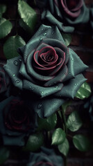 Dark roses in red and black colors in a park at dusk. Numerous dark roses of begonias in a field in a park. Beautiful roses closeup. Realistic 3D illustration. Generative AI