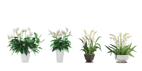 Collection of plants in ceramic pots isolated on transparent background. 3D rendering. PNG