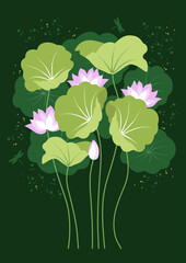 Vector background with pink lotuses and green leaves on a dark background. Stylish design template with lotuses. Flower Nelumbo nucifera for postcards, banners, invitations.