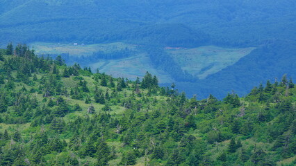 Obraz premium 八甲田遊歩道からの景色1