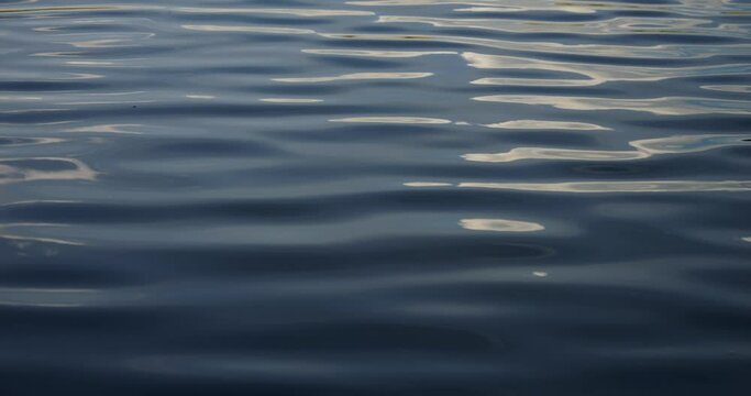 Gentle small waves on the surface of the water. Water texture.