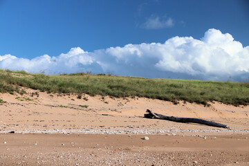Beach on Elcho Island