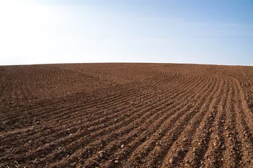 Stickers pour porte Marron profond Plowed farmland with brown soil and a blue sunny sky
