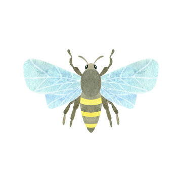 Cute honey bee,, insect isolated on a white background. Watercolor illustration. A set OF ANIMAL FACES. Suitable for children's textile design, character, wall paper, logo,tableware. wallpaper