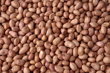 Grão de amendoim com casca em close-up 